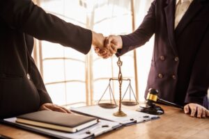 Lawyers provide legal guidance, represent clients in court, and assist with legal paperwork. They analyze laws to protect their clients' rights and interests while ensuring their cases are handled effectively.