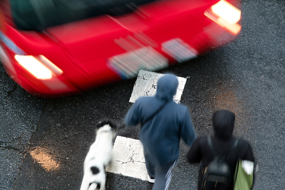 Two pedestrians and a dog crossing the street as a red car approaches a crosswalk.